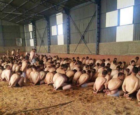 13690739_1620202671624415_8645350460670481706_n