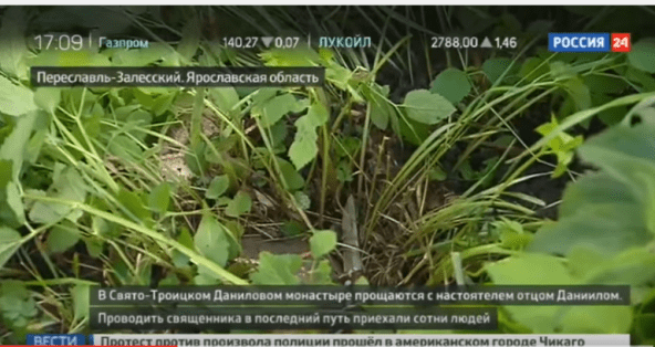 Caσθησηθσηι