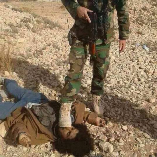 13882684_269943073388026_4515905170773278324_n