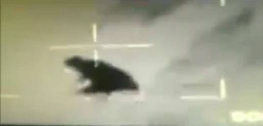 14037456_1110431772338131_1119912770_o