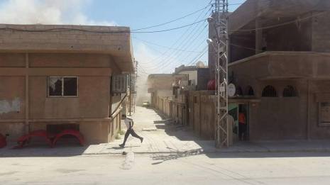 14046141_1218949648135503_7590144129777272799_n