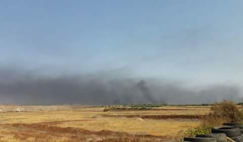 14089094_1740224936241586_2010040538099594443_n