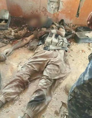 14095815_281802575535788_7316915707935170907_n