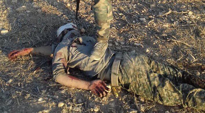 14202644_298340630523624_1159267843700452705_n