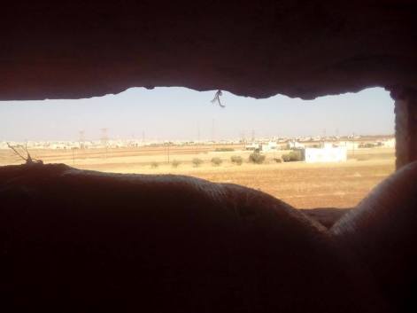 14249231_1133604086687566_1864629739_n