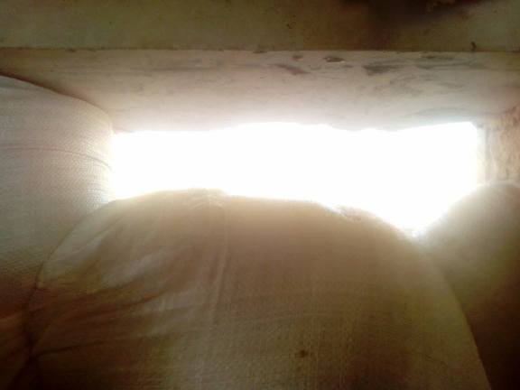 14269736_1133604016687573_1870494677_n