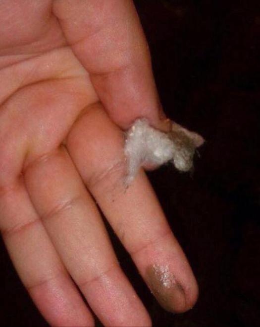 14329928_850813138382033_4810607602723628222_n