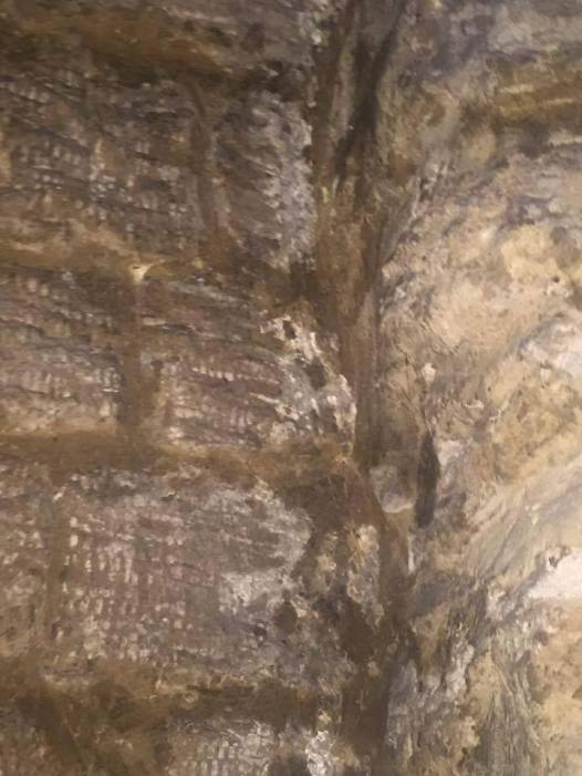 14330028_1226745944055328_2393219874297568664_n