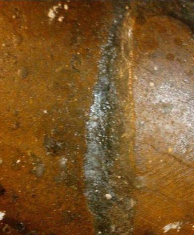 14358709_850813165048697_477910886872030224_n