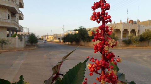 14433151_1104754066280519_4530877987746534014_n