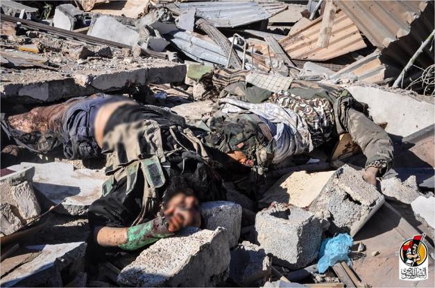 15202495_1153810141369456_7771785983237547039_n