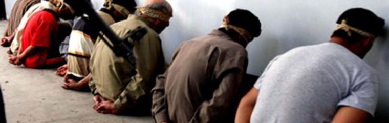 5210202032014_3-790x250