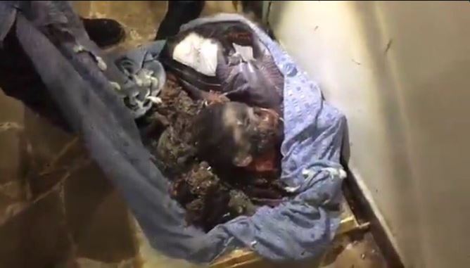 %ce%ba%ce%b8%cf%85%cf%89%ce%b8%ce%b3%ce%b8