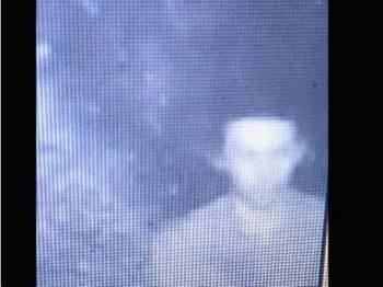 15878890_1250306828350624_636051233_n