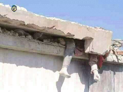 15894468_1205922219491243_105130492102177646_n