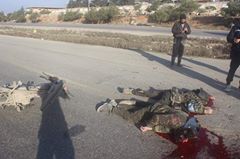 15965545_352400798475965_8647262352998088662_n