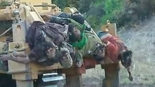 16507580_1279809578733682_630761441_n