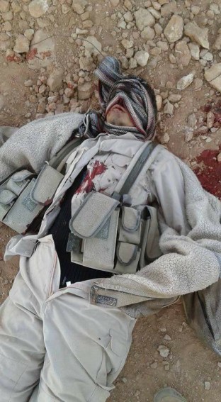 16508708_10210752717546929_7328851757595043839_n