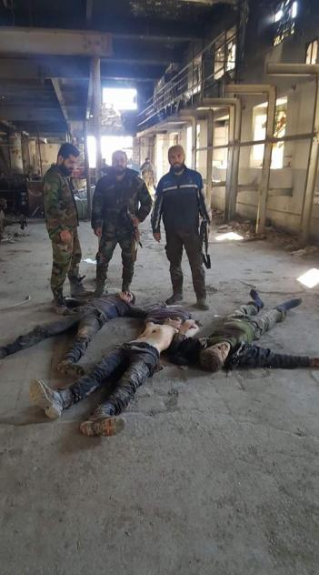 16652059_1282488985132408_1407105707_n