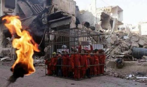 16730655_1228159603926993_7395685939468360811_n